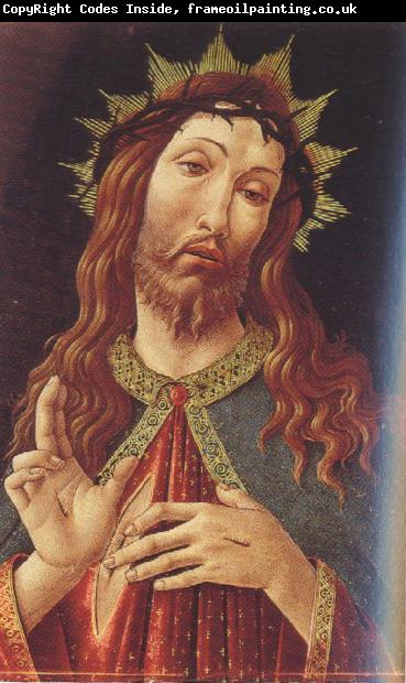 Sandro botticelli and workshop Ecco Homo or The Redeemer (mk39)